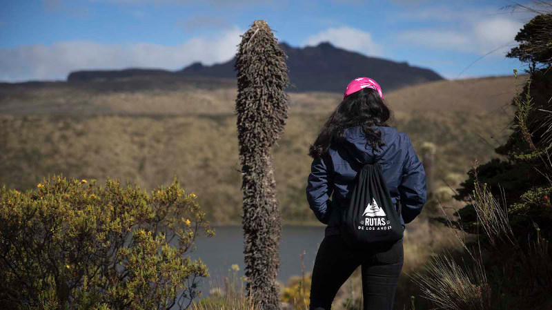 Imagen de Rutas de los Andes