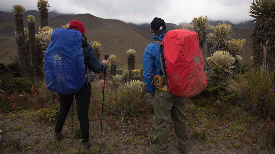Imagen de Rutas de los Andes