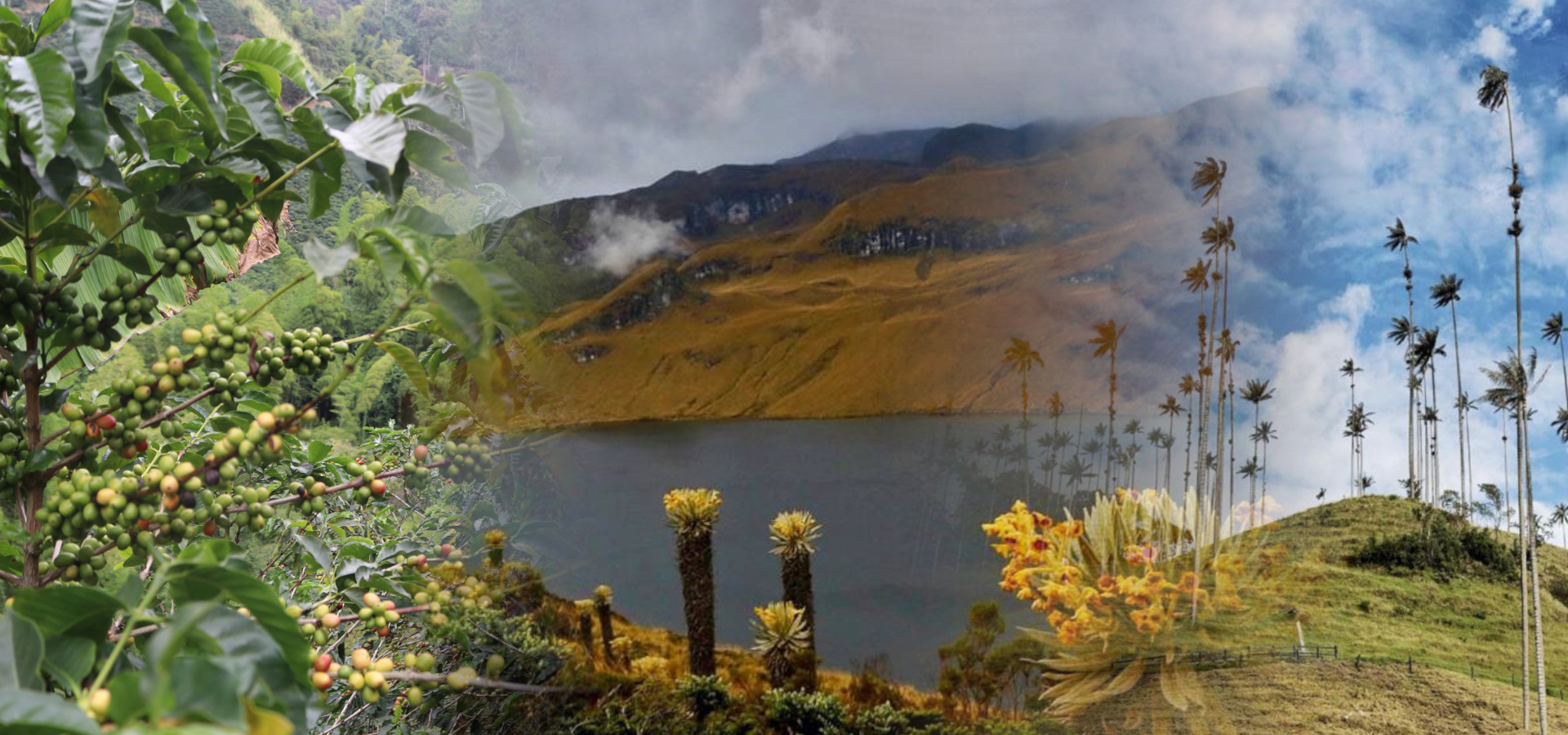 5 routes to practice hiking at the Coffee Axis