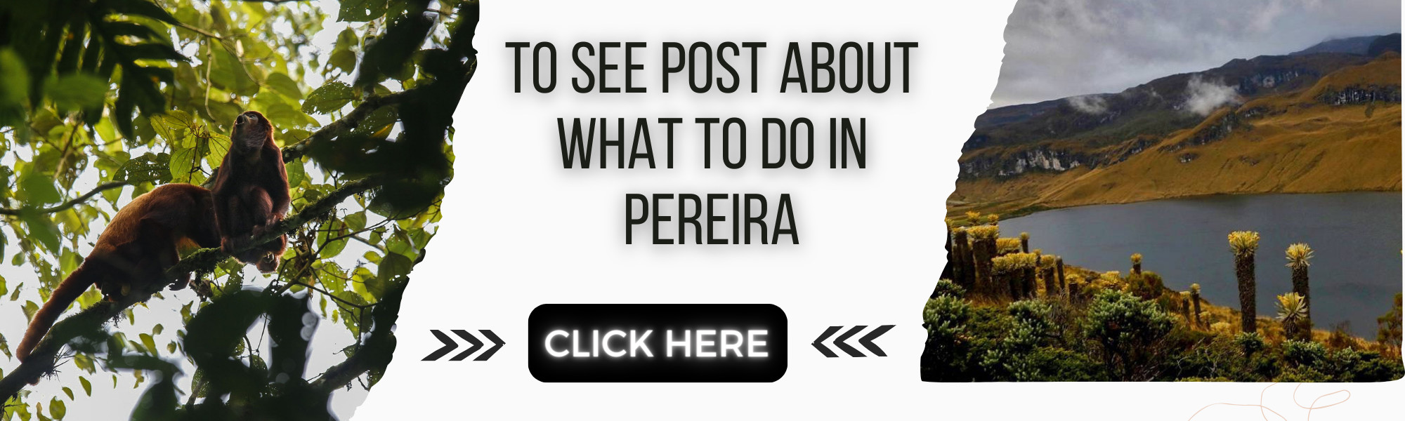 Banner: places to visit in Pereira
