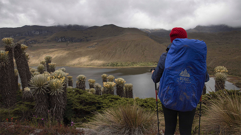 This Is How Your Brain Changes When You Go Hiking