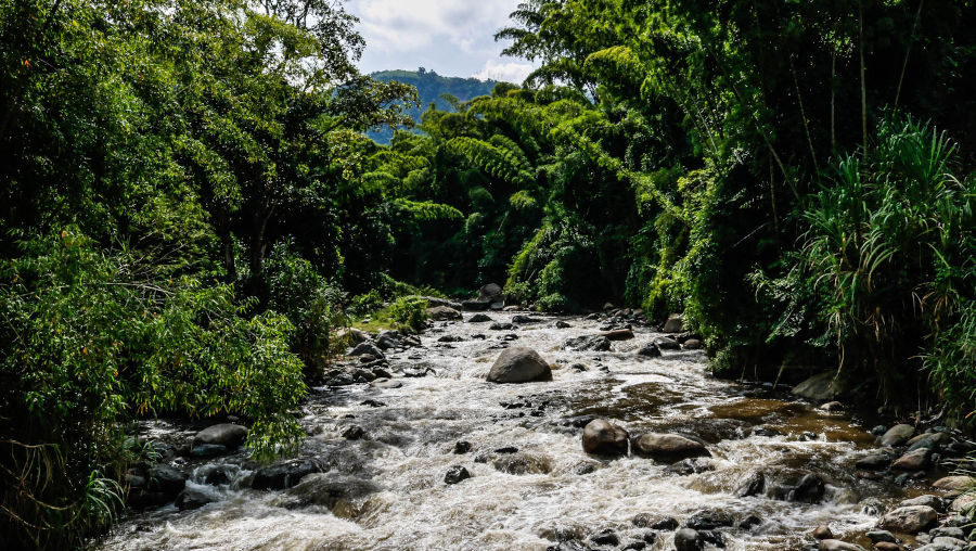 río Guacaica