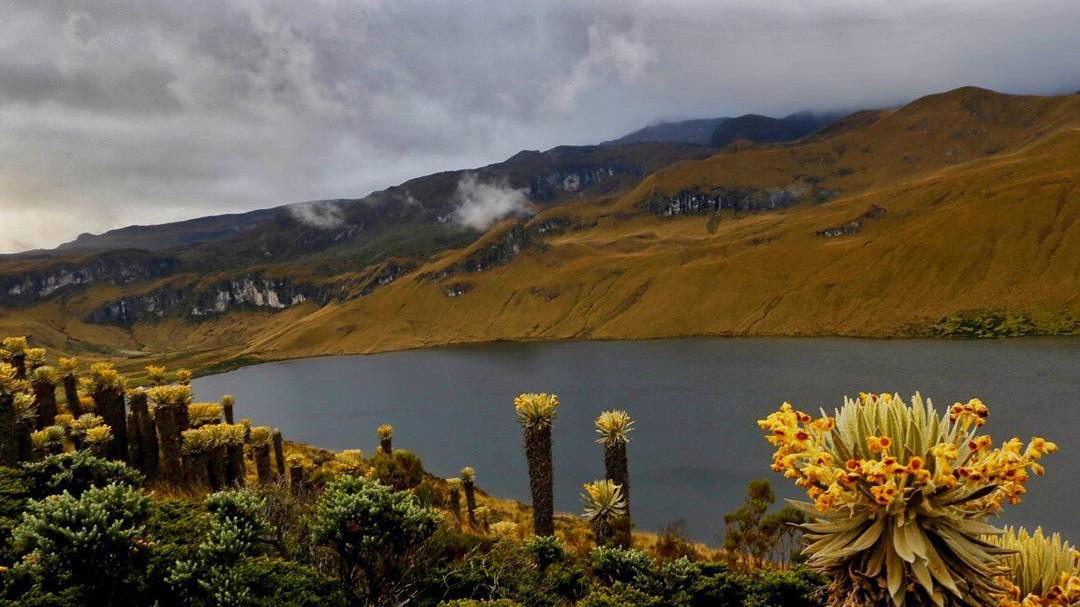 Lake Otún Trekking Guide | Los Nevados National Park