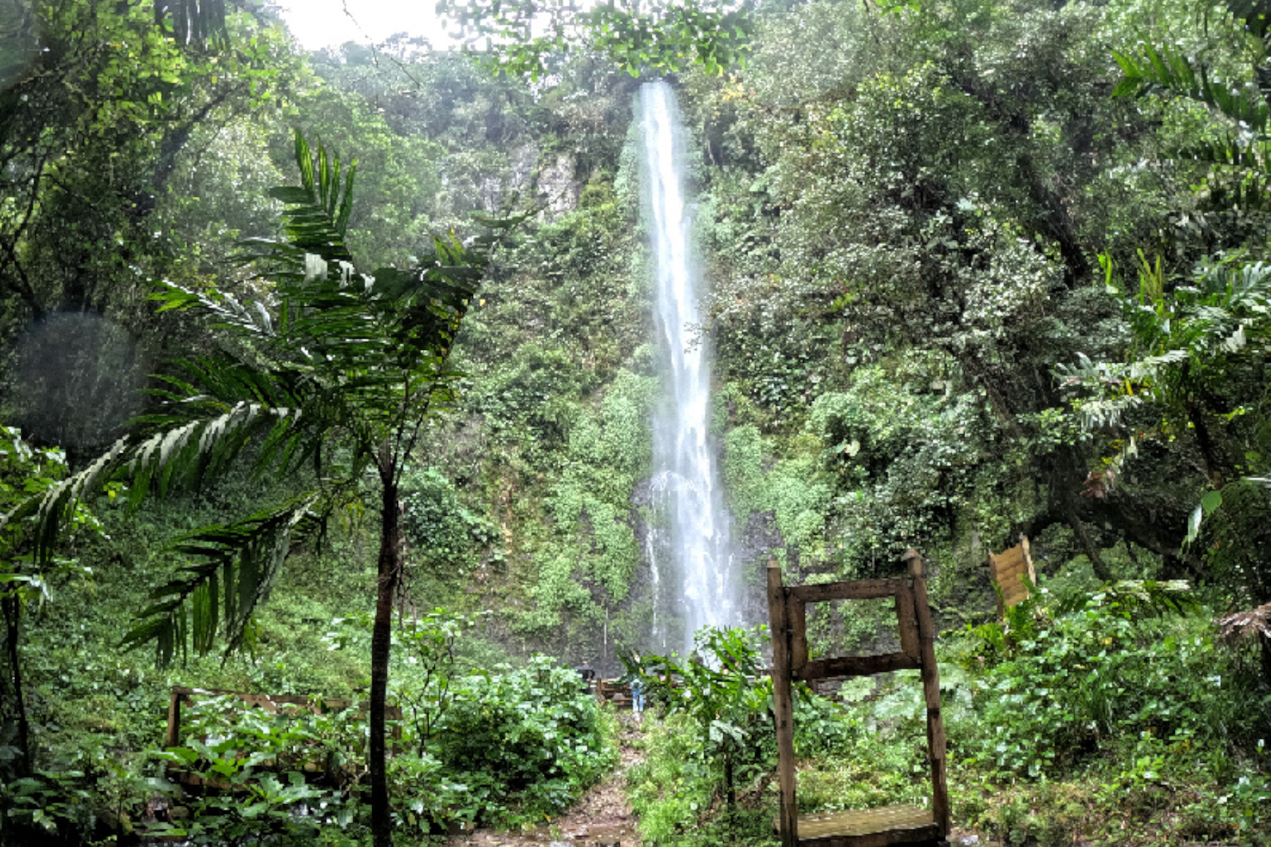 Los Frailes Waterfall Hiking Guide | Pereira, Colombia