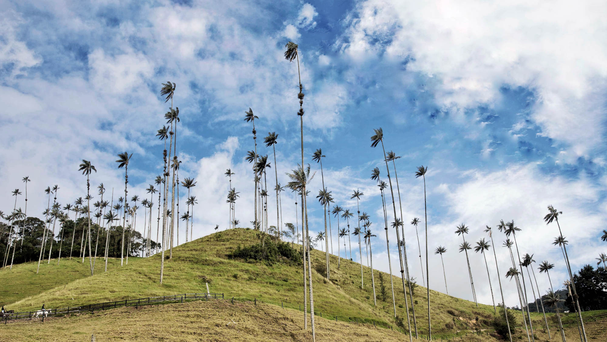 Salento and Cocora Valley