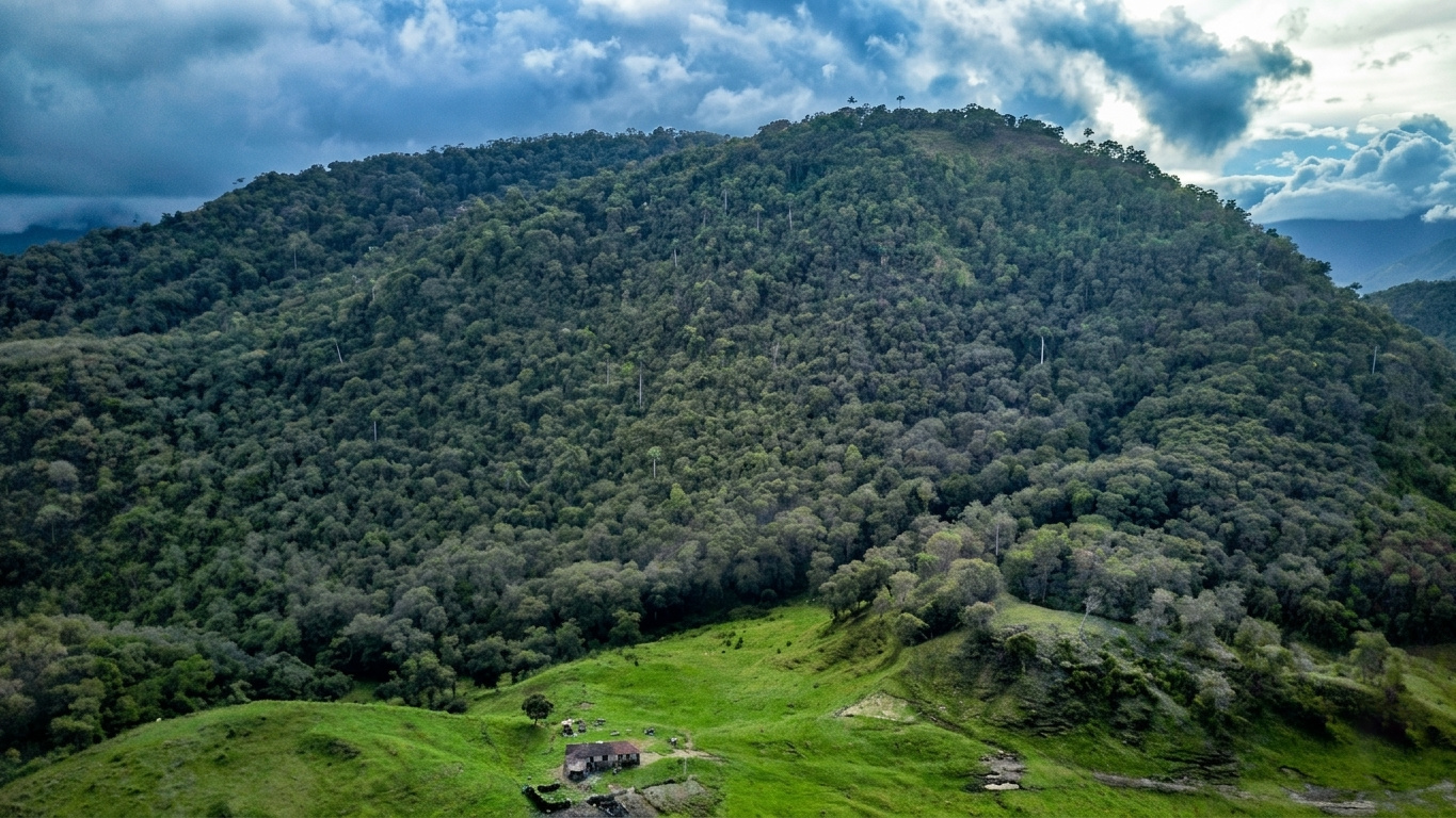 Volcán Machín & La Carbonera Guide | Tolima