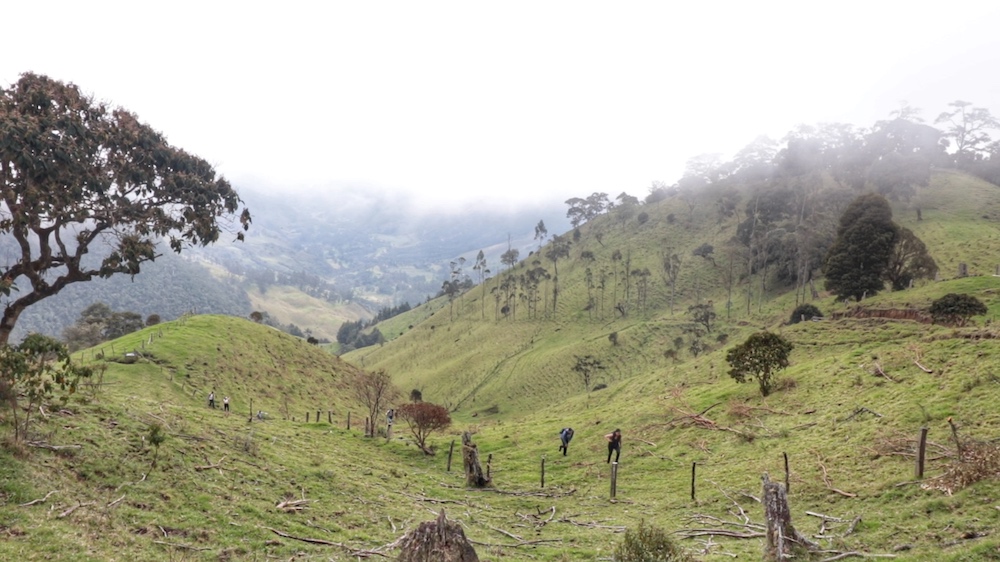 Foto ruta cerro morrogacho (Potreros)