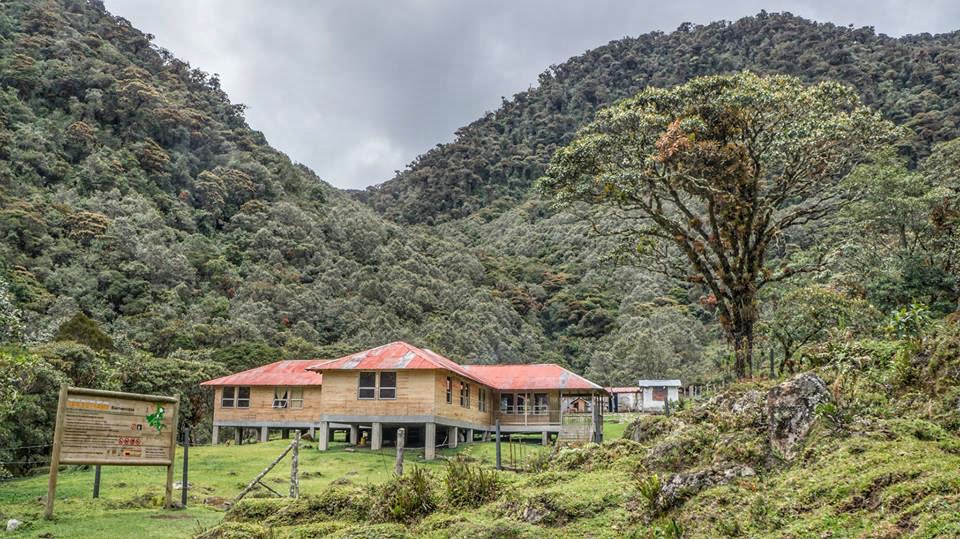 Estrella de Agua