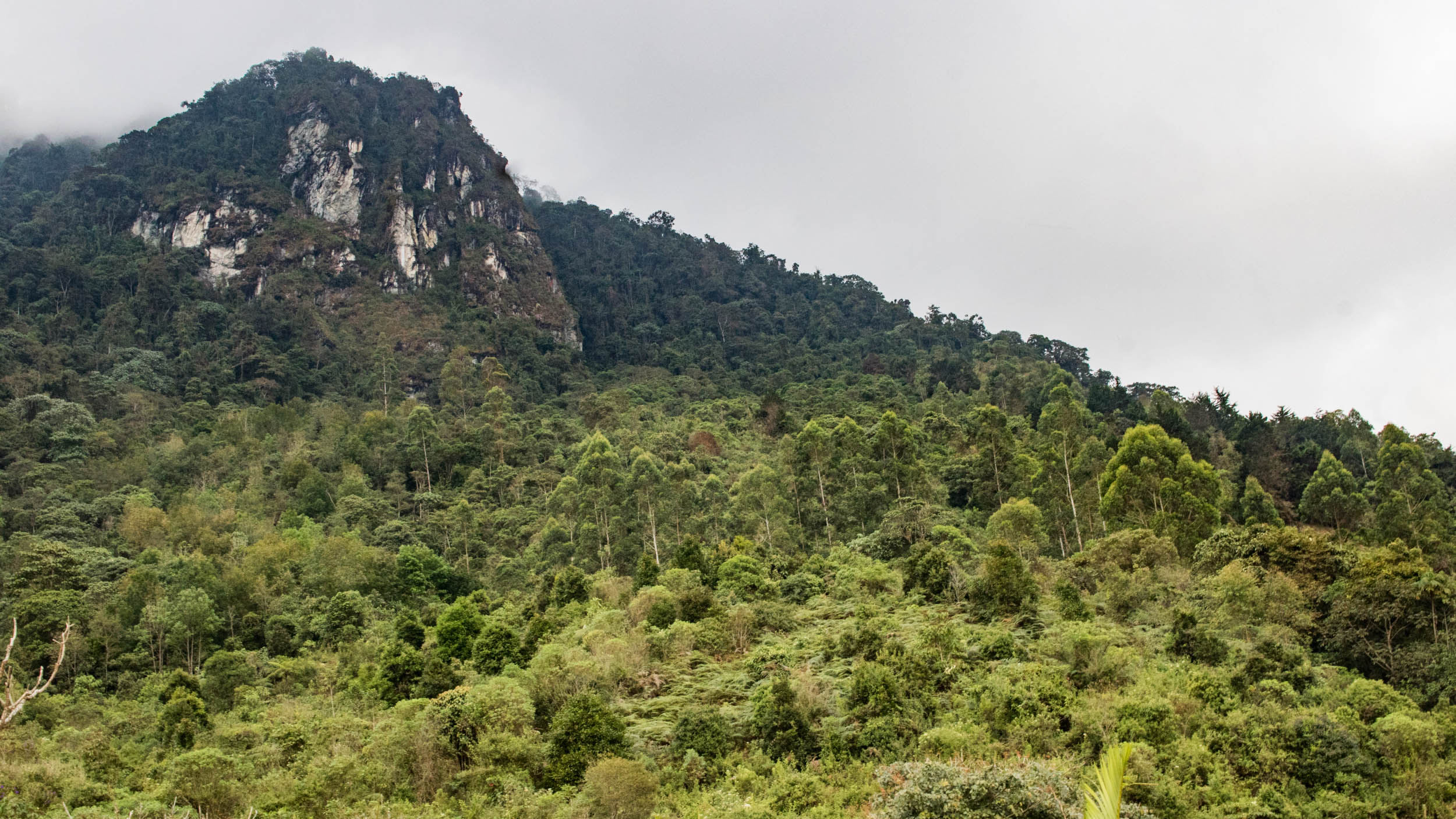 imagen featured del trail
