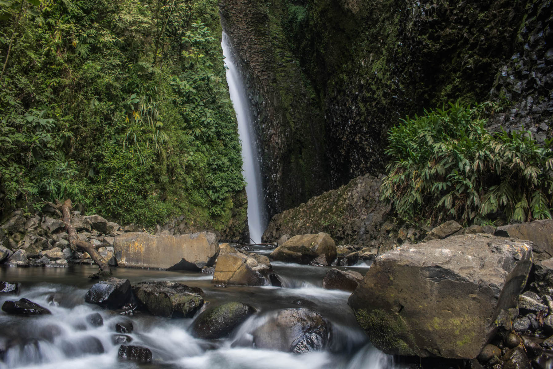 imagen featured del trail