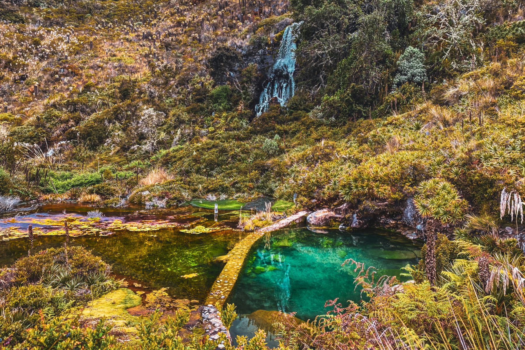 imagen featured del trail