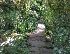 Puente colgante en Salento
