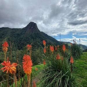 Vista del paisaje andino desde la Finca La Montaña