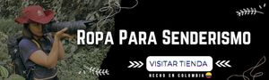 Línea Técnica e Indumentaria Randes Store