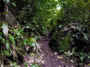 Sendero hacia los chorros de Don Lolo