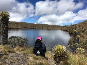 Fotografía: Laguna del Silencio en el Parque Nacional Los Nevados