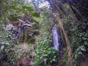 Foto de la cascada de camino para La Gruta