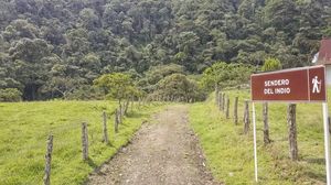 Sendero del Indio, ruta de trekking y avistamiento de aves en Pueblo Rico, Risaralda
