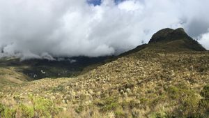 Ecosistema de páramo en el Valle de los Perdidos, Nevado del Tolima