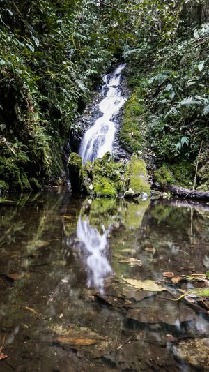 Cascada #3