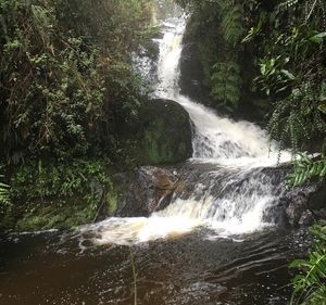 Imagen 3 - Estrella de Agua