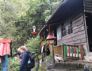 Antiguo sendero de acceso hacia la Reserva Acaime