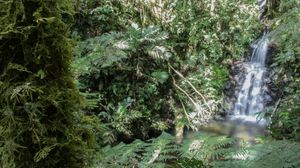 Cascada #2