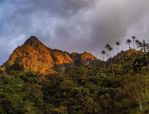 Panorámica del Cerro Morrogacho, imponente montaña piramidal en Salento