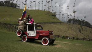 Sendero de acceso a los miradores principales de Cocora