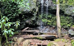 Fotografía: Cascada natural profunda en el cañón del Río Barbas