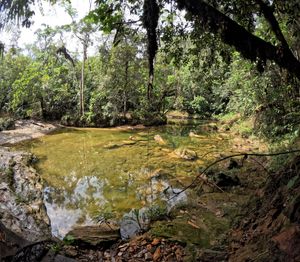 Lajas de piedra y aguas cristalinas en el Pozo de la Danta